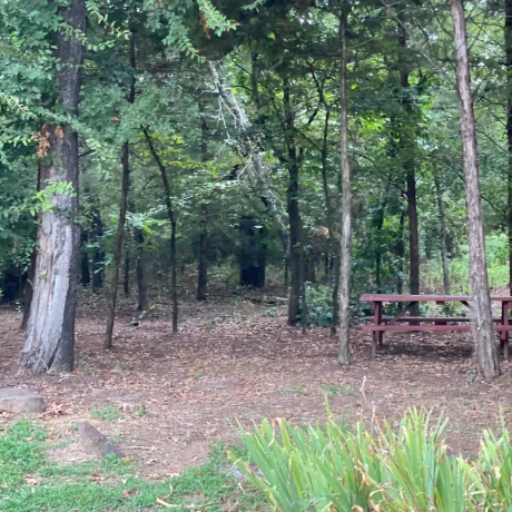 Serene walking trails surrounded by greenery, ideal for peaceful strolls through the resort’s natural beauty at Oak Meadow Ranh RV in Valley View, TX.