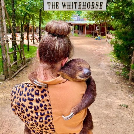 An exotic animal tour with people interacting with safari animals in a lush, scenic setting at Oak Meadow Ranh in Valley View, TX.